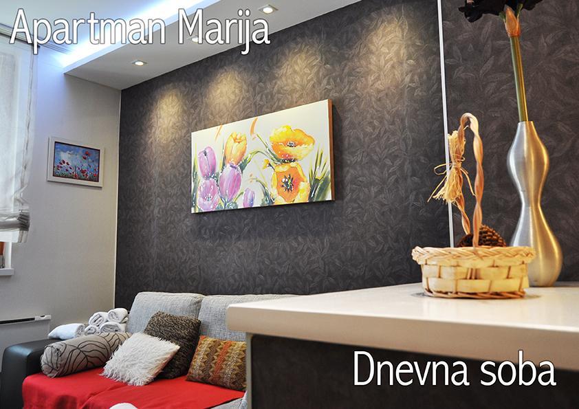 Apartment Marija- Kopaonik Centar エクステリア 写真