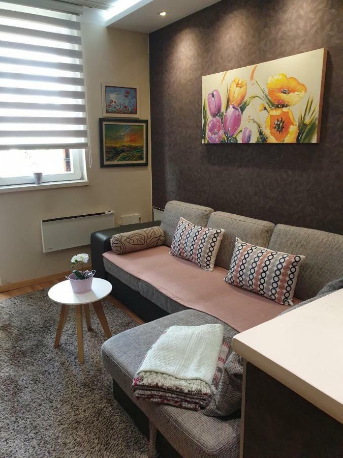 Apartment Marija- Kopaonik Centar エクステリア 写真
